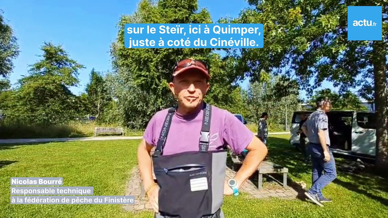 Pêche anguille Quimper