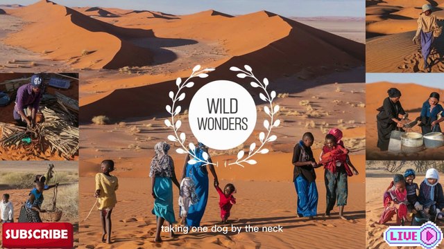 “Lions Attack with Horses & Camels vs Snakes and Dogs | Wild Jungle & Desert Battle with Womens”