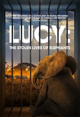 Lucy: The Stolen Lives of Elephants Documentary Streaming