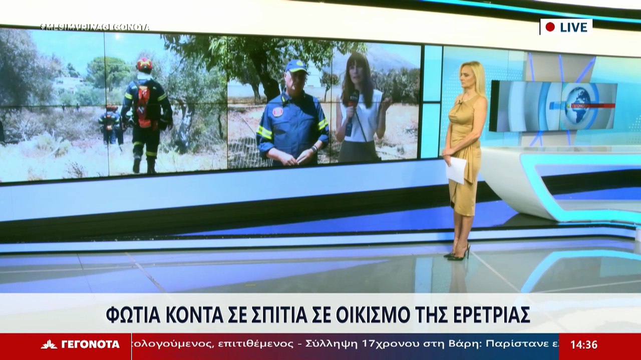Ο Διοικητής Πυροσβεστικών Υπηρεσιών Στερεάς Ελλ...