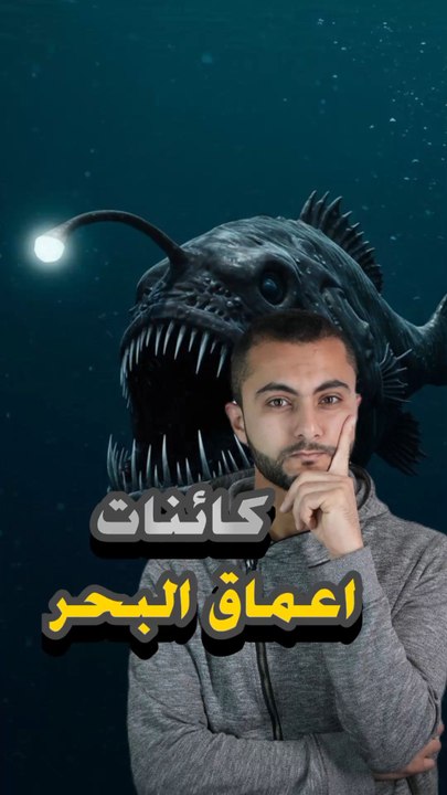 🕳️ كائن يعيش في أعماق ما توصلش لها الشمس؟https://psce.pw/7rg7t7#النواة #كائنات_أعماق_البحر#Alnawa #dubai🇦🇪 #dubailife #trending #travel #nature #wildlife