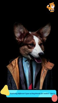 Low | S1282 #cute #cutedog #dog #cutedog #dogs #cute #shorts #youtubeshorts #tiktok #puppy #pets