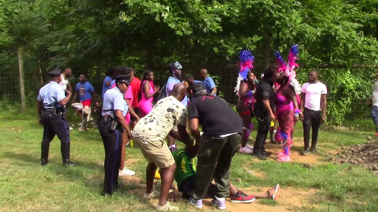 Festival Brawl