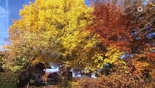 Sturm der Liebe 4442 folge