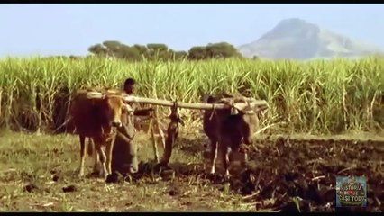 Los Orígenes de Egipto: Descubre Su Fascinante Historia