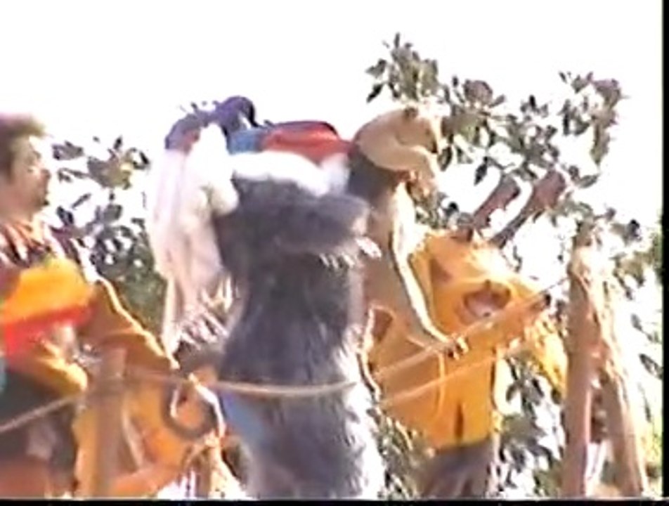 Célébration roi lion