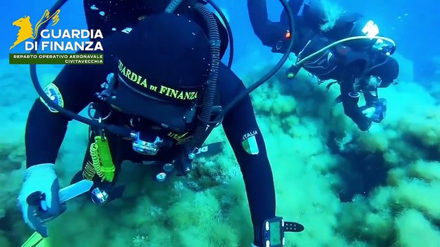 GdiF ROAN CIVITAVECCHIA: AL VIA IL PROGETTO PILOTA DI RIPOPOLAMENTO DELL'ASTICE EUROPEO NEI FONDALI DELL'ISOLA DI PONZA COORDINATO DALL'UNIVERSITA' DELLA TUSCIA (18.06.25)