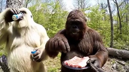 Yeti and Bigfoot VLOG - Episode 2 - Outdoor BBQ