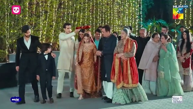 Meem Se Mohabbat Episode 29 | Dananeer Mobeen, Ahad Raza Mir, Faiza Gillani, Zarrar Khan,