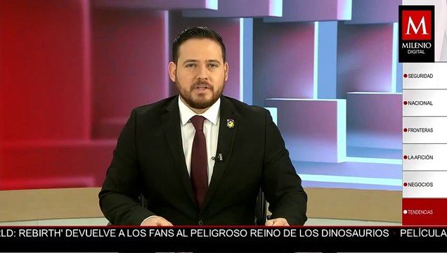 México se convierte en líder en conservación de siete especies de tortugas marinas