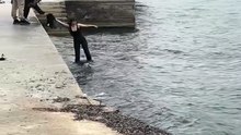 Today I came across this