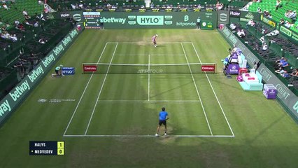 Halle - Medvedev sort Halys
