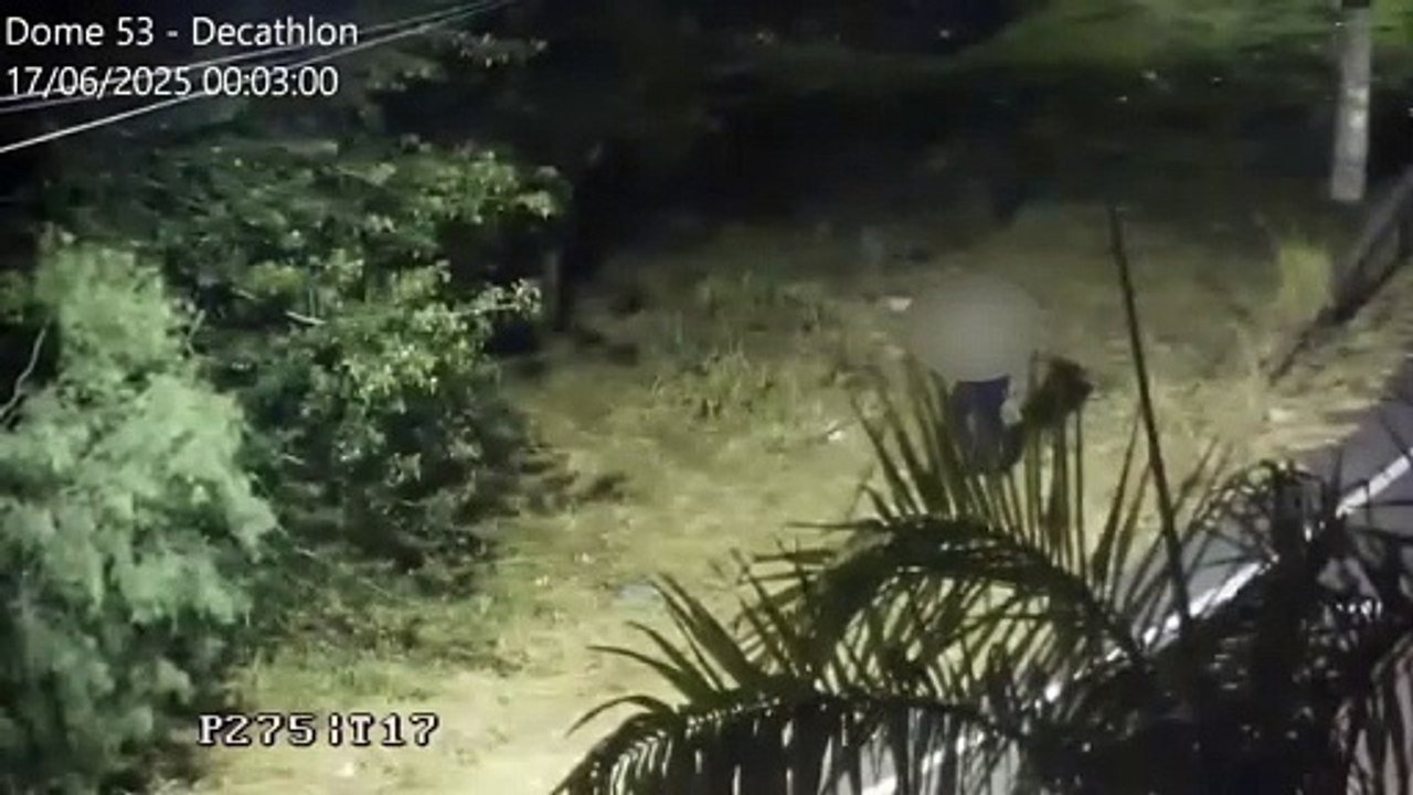 WhatsApp Video 2025-06-18 at 12.46.53