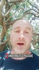 3 Underrated Passive Income Ideas