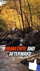 Genesis chapter 10. Verse 16 to 32