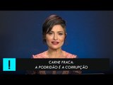 Carne Fraca: a podridão é a corrupção
