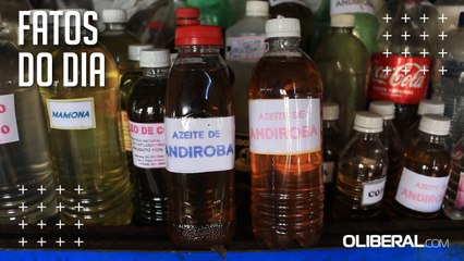 Remédio para dores, inflamações e massagem óleo de andiroba é destaque de vendas no Ver-O-Peso