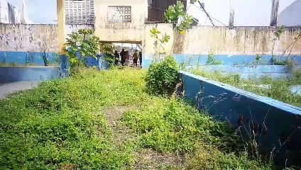 Grama cresce em escola desativada, em Caucaia