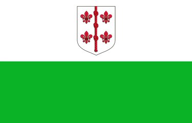 Flag of Hiuu County. Bendera Kabupaten Hiuu. Hiuu County Flag. Flag of County of Hiuu. County of Hiuu Flag. Hiuumaa lipp. Bandeira do Condado de Hiuu. Drapeau du comté de Hiuu. Bandera del condado de Hiuu. Steagul județului Hiuu. Флаг округа Хийу