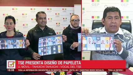 TSE espera desembolso oportuno de dólares para el voto en el exterior, afirma vocal Tahuichi