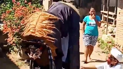 Fantastic Barong Street Dance Performance in Singaraja, Bali Island.