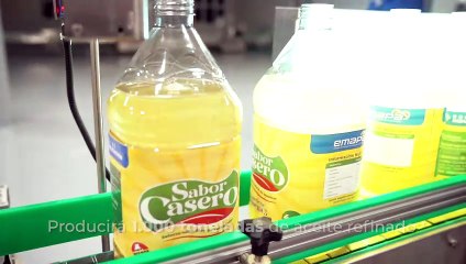 ¿Por qué los gatos viven más que los perros?