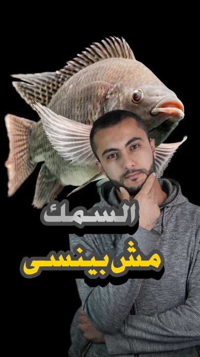 🐟🧠 سمكة عندها ذاكرة أقوى من الإنسان؟https://psce.pw/7rku7h#النواة #سمك_البلطي#Alnawa #dubai🇦🇪 #dubailife #Tilapia #trending #travel #nature #wildlife