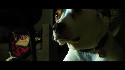 Desires! And the Temptations to Follow! | movie | 2022 | Official Featurette