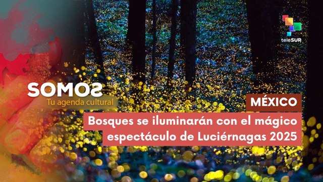 Bosques de México se iluminarán con el mágico espectáculo de Luciérnagas 2025 SOMOS 18-06-2025