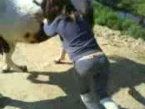 Déplacement des hanches 1