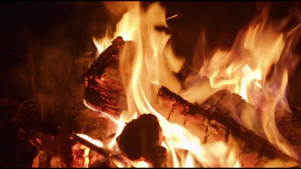 THE WOODS | Official Horror Trailer