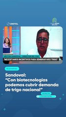 Sandoval “Con biotecnologías podemos cubrir demanda de trigo nacional”