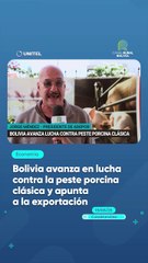 Bolivia avanza en lucha contra la peste porcina clásica y apunta a la exportación