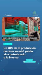 Un 20% de la producción de arroz se está yendo vía contrabando a la inversa