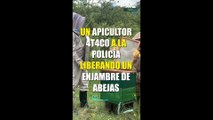 ATBINFORMA  - Apicultor ataca a la policía liberando un enjambre de abejas