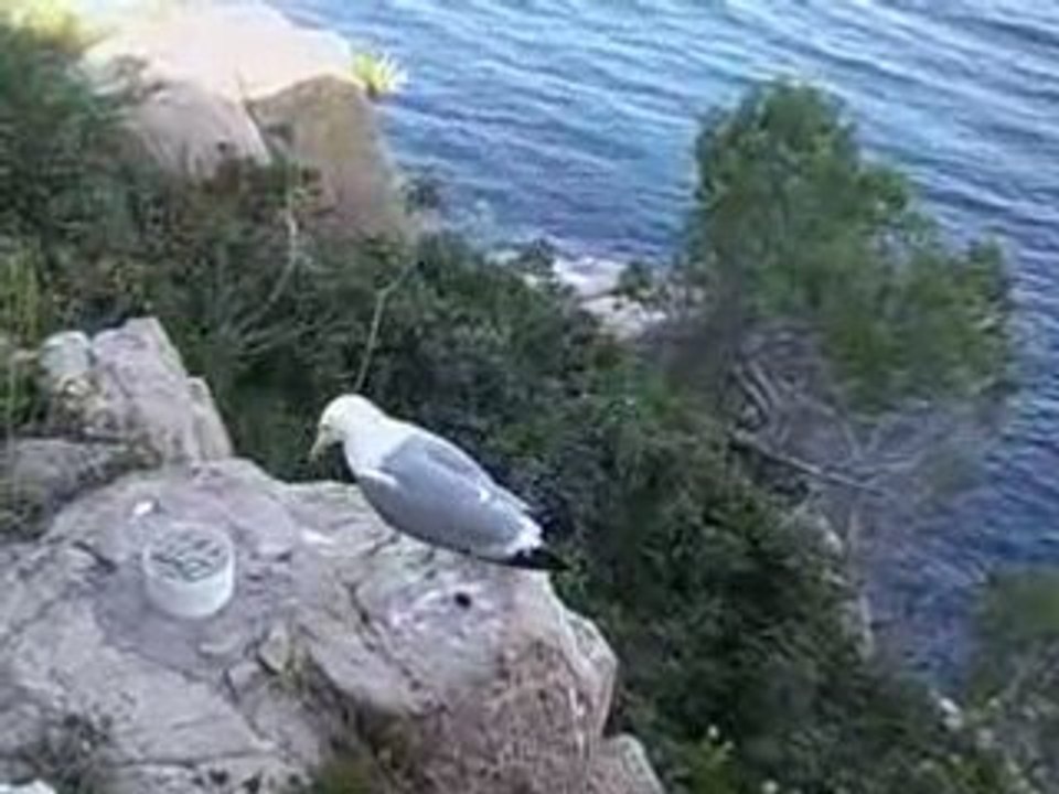 Vacances avril-mai 2008 836