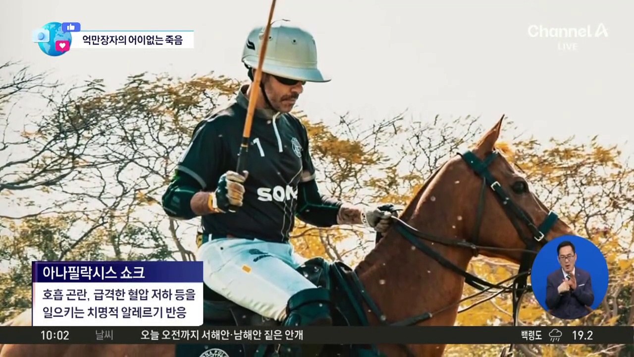 [앉아서 세계 속으로]폴로 경기하던 억만장자, ‘벌’ 삼켰다가 사망