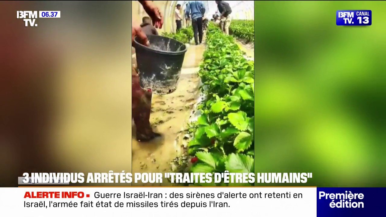 13h de travail par jour, ouvriers frappés...trois personnes arrêtées pour "traite d'êtres humains" sur une exploitation agricole du Vaucluse