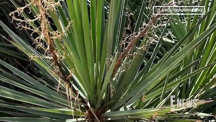 Survivor's Boston Rob Mariano’s Daughter Is Hospitalized On Vacation