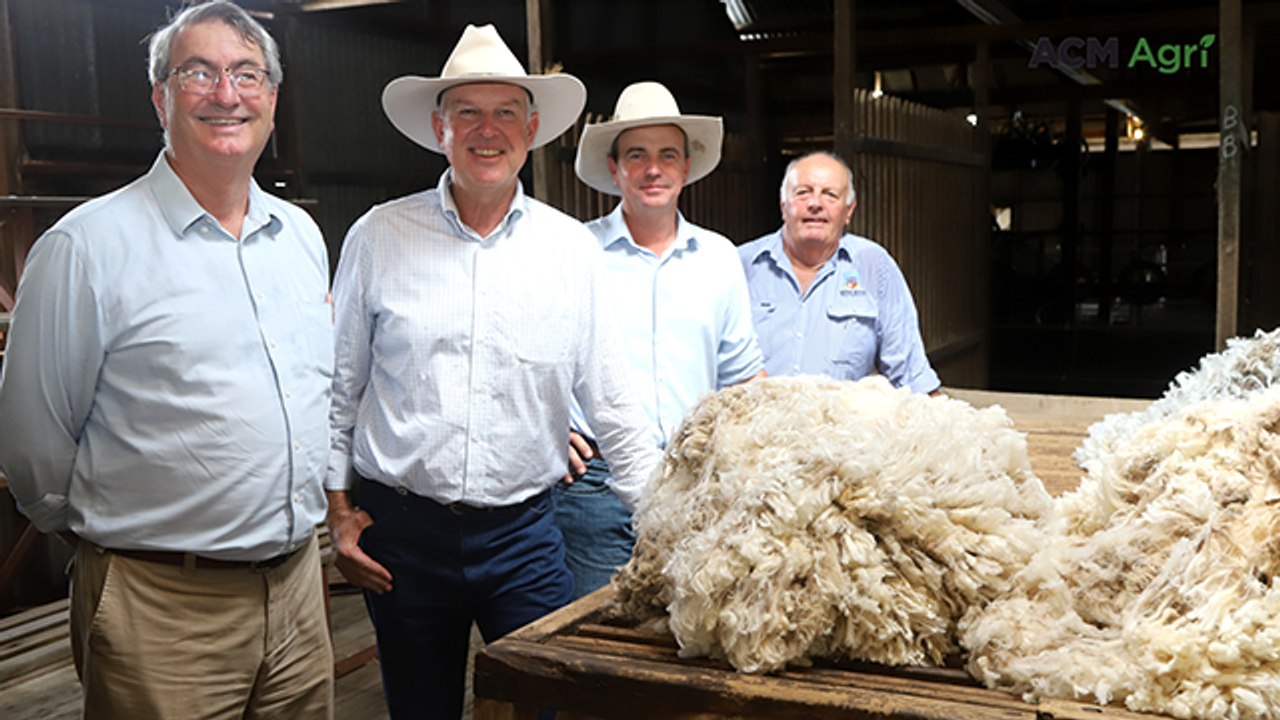 QWool exploring overseas option to make its tops-making plant a winner