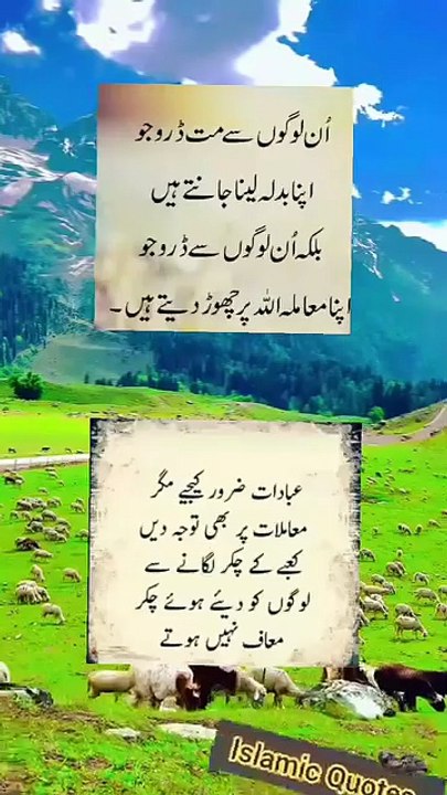 #Sayings
