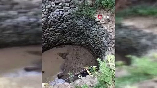 Kuyuya düşen tilkiyi itfaiye kurtardı