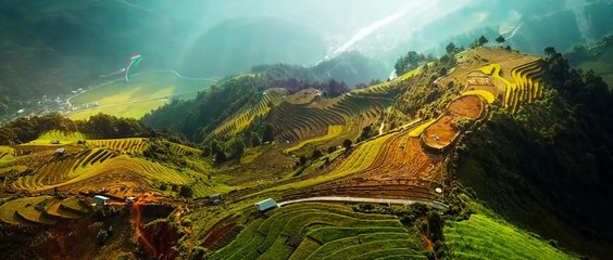 Sứ mệnh nội gián 2 - Line Walker 2 - Cổ Thiên Lạc