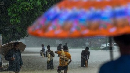 बारिश ने गुजरात में कई जिलों में तबाही मचा दी!