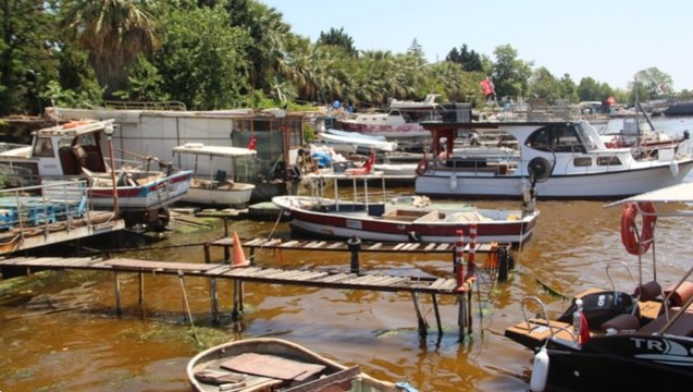 İzmit Körfezi'nde denizin rengi kahverengiye döndü