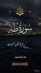 🌿_Surah_Taha_with_Urdu_Translation___سورۃ_طہٰ_ترجمہ_کے_ساتھn#shorts_#shortvideo(360p)