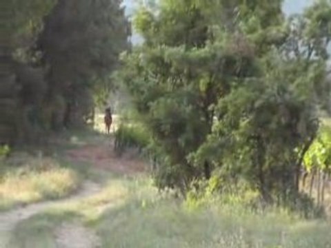 ballade a cheval dans le 13 -> 2ème partie