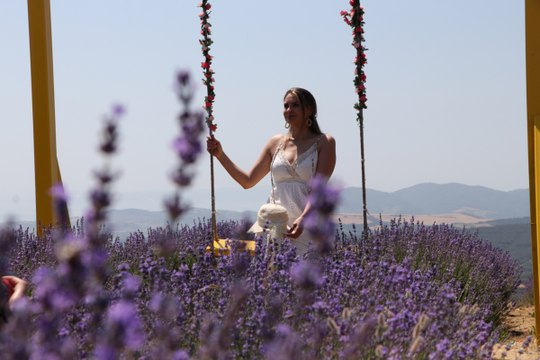 Lavanta mevsimi geldi: Herkes en güzel paylaşımı yapmanın telaşında