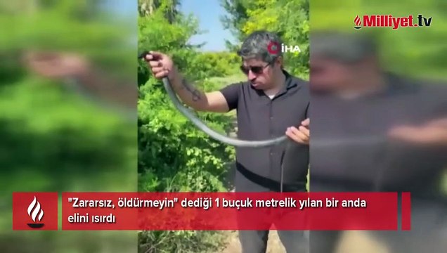 Hatay'da şoke eden olay! 'Zararsız, öldürmeyin' dediği yılan tarafından ısırıldı