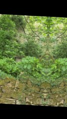 holy trinity church took back by nature